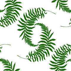 Vector seamless pattern : dark green curved fern branches with leaves . Hand drawn silhouettes . Botanical , natural design for wrapping paper, textile. wallpaper, decor.
