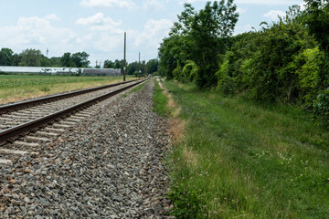 Fototapeta premium a rail road track near the forest
