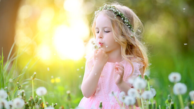A beautiful little girl with a wreath on her head and a delicate pink dress plays with dandelions in the garden at sunset. Happy child resting outdoors