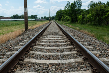 Fototapeta premium a rail road track near the forest