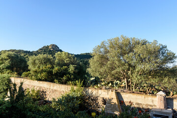 Fototapeta na wymiar garden view from the window at Sardinia