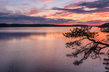 Scenic sunset landscape with peaceful lake and tree at summer evening in Finland