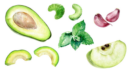 Green apple slice avocado half mint celery and garlic watercolor illustration isolated on white background