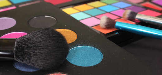 Colorful Cosmetic Pigment Palettes and Various Cosmetics