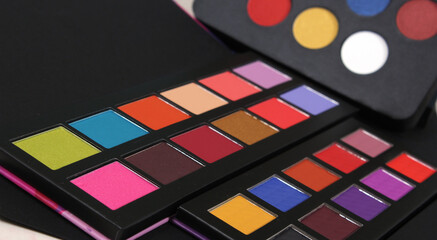 Colorful Cosmetic Pigment Palettes and Various Cosmetics