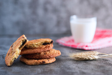 Stacked home made cookie view with a glass of milk and wheat spike studio shot