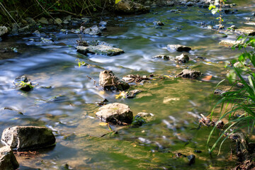 Les cailloux et la rivière