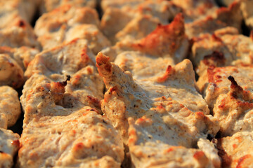 The skewers of meat. Festive table. Background for design