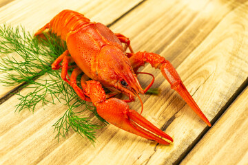 Boiled crayfish boiled ready to eat, wooden background.