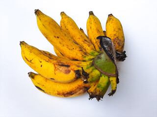 One comb of raja banana or pisang raja or Musa paradisiaca from AAB group. Isolated in white background