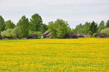 Russian village