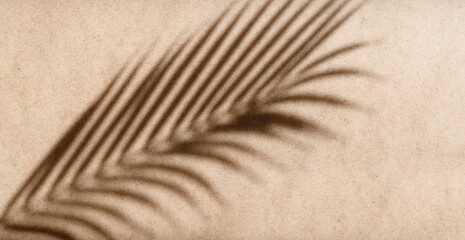 Fototapeta na wymiar Tropics minimalist abstract blurred background of palm leaf shadow over kraft paper.
