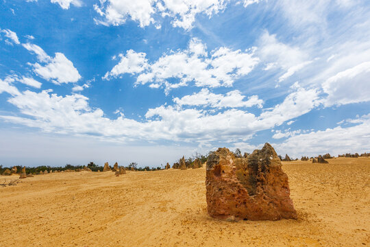 The Pinnacles in the Nambung National Park, Western Australia near the city of Cervantes are remains of ancient limestone formations or formed through the preservation of tree casts
