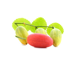 Lvy Gourd or Cocconia grandis fruit on white background