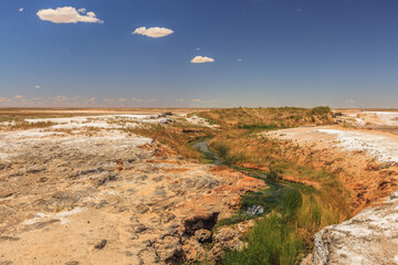 A winding stream in the South Australian desert with green banks emerged in The Bubbler, a source...