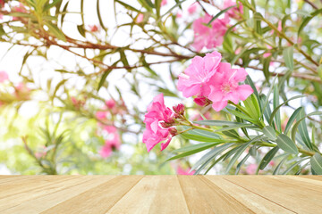 Empty top wooden table on beautiful pink flowers in garden blured for background