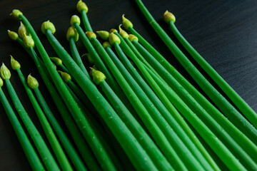 Fresh green onions with water drops close-up. Macro image of the bow feathers, soft focus. Benefits of organic products.