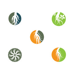 Set Ginseng Wave Logo Template