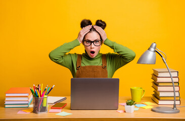 Portrait of her she attractive stunned girl geek programmer working remotely finance market stock...
