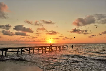 Poster de jardin  Beautiful sunrise over the Caribbean. The sun rose slightly above the horizon and painted the sky in scarlet and gold colors. A wooden path goes over the sea. In the sky are picturesque clouds.  © Вера 