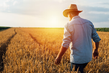 farmer walking on through wheat field