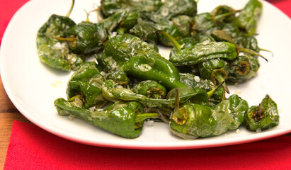 Classic Spanish tapa - fried small green peppers with sea salt