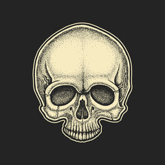 Dotwork styled skull. Hand drawn illustration