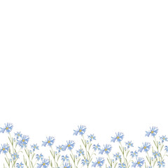 Obraz na płótnie Canvas Background of watercolor flowers cornflowers on a white background. Use for wedding invitations, holidays, menus.