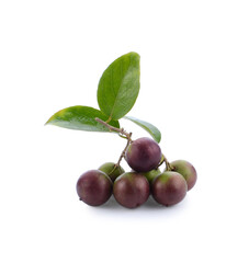 Jamaican cherry of Wild fruit