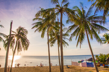 Tropical beach with palm trees in Phu Quoc island, Vietnam