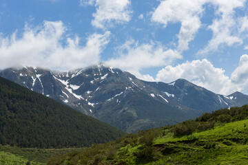 Fototapeta na wymiar Picos de Europa national park