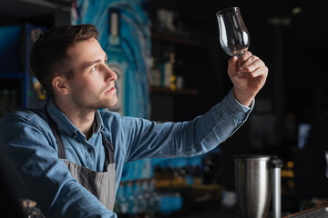 Perfect cleanliness. Professional bartender checks glass in pub