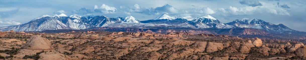 Petrified Dunes Panorama