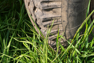 Fototapeta na wymiar an old dirty tire sits in the green grass