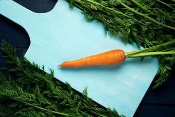 One single raw carrot with green leaves on cutting board. Fresh vegetable on  dark background. Top...