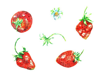 Strawberries. Watercolor (3)