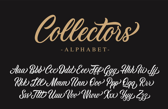 Collectors calligraphy script design. Vector alphabet.