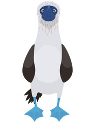 Blue-footed booby front view. Ocean bird in cartoon style.