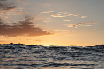 Obraz premium Wave in the ocean at sunrise or sunset