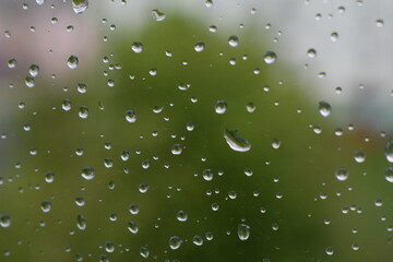 Summer gray rainy day