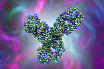 Molecular model of Pembrolizumab