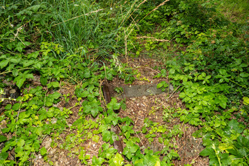 an old bunker from the world war