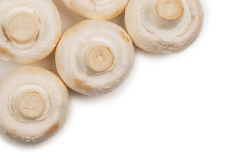 Champignon mushroom isolated on white background.