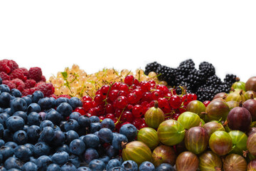 Gooseberries, blueberries, mulberry, raspberries, white and red currants isolated