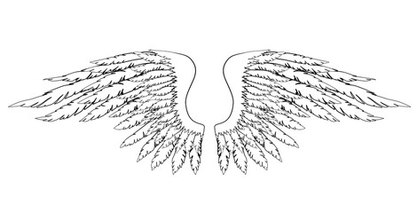 Black and white hand-drawn wings