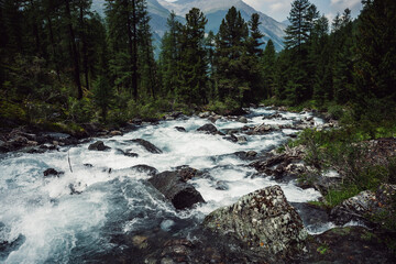 Powerful mountain river flow through forest. Beautiful alpine landscape with azure water in fast river. Frozen motion of mountain river rapids. Power majestic nature of highlands. Aqua turbulence.