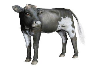 3D Rendering Calf on White