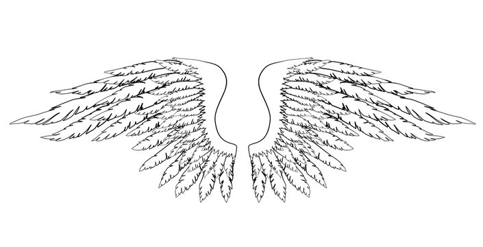 Black and white hand-drawn wings