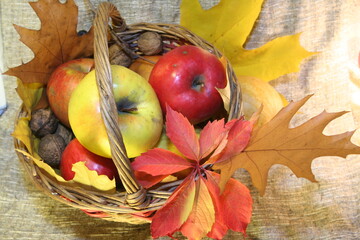 Beautiful autumn still life with apples, nuts, autumn grape leaves.