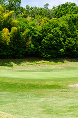 ゴルフ場 グリーン付近